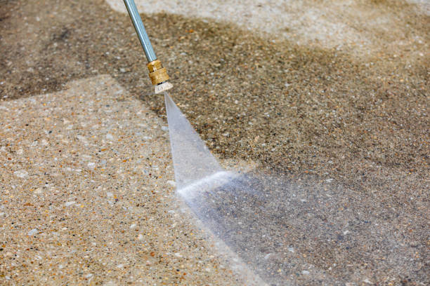 Best Sidewalk and Walkway Cleaning  in Rosend, LA